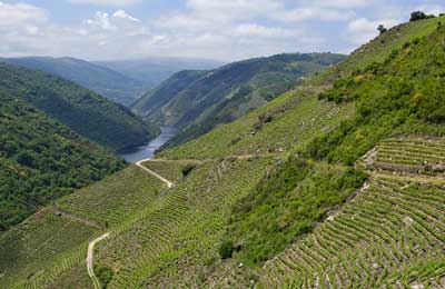 Ribeira Sacra