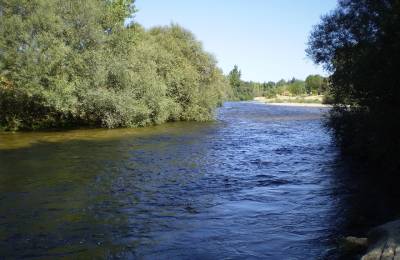 Río Alberche