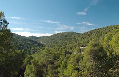 Sierra de Burete