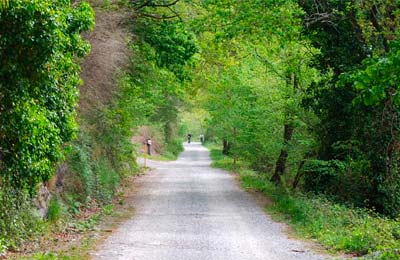 Vía verde del Bidasoa