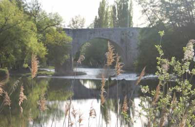 Puente sobre el río Duero